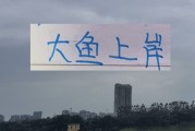 北京国安也是外援大结局了！来了德甲中卫，还有澳超冠军边锋